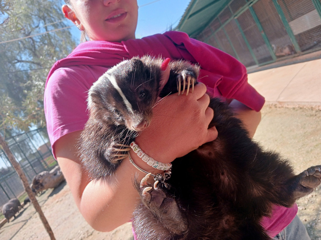 La Fattoria Dei Salari-Floridia必去景点