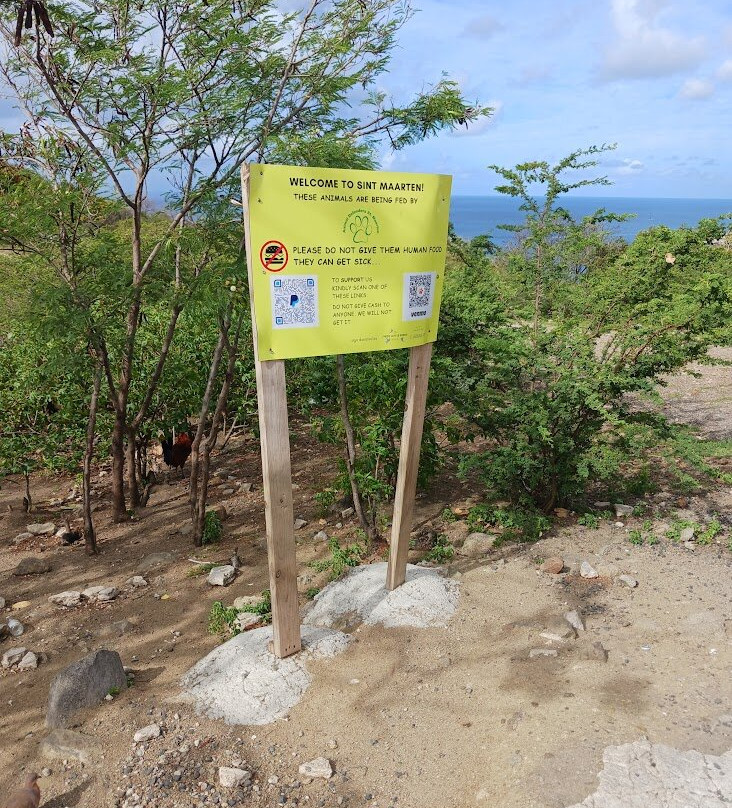 Cole Bay Hill-菲利普斯堡必去景点