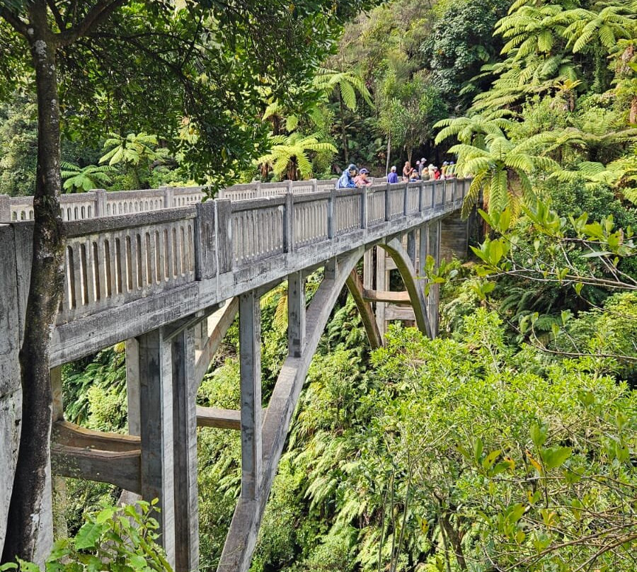 Canoe Safaris-奥阿库尼必去景点