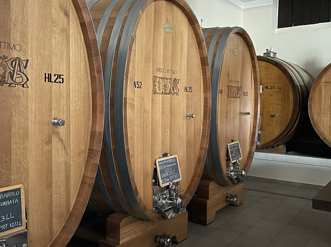 Piedmont Food and Wine-Vinchio必去景点