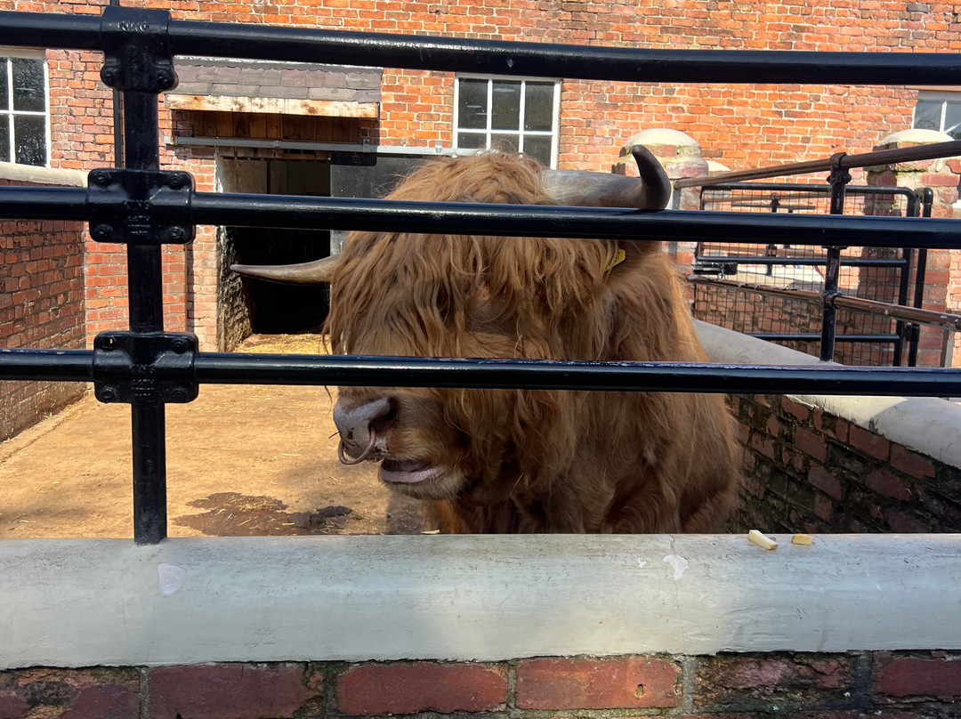 Croxteth Park Farm-利物浦必去景点
