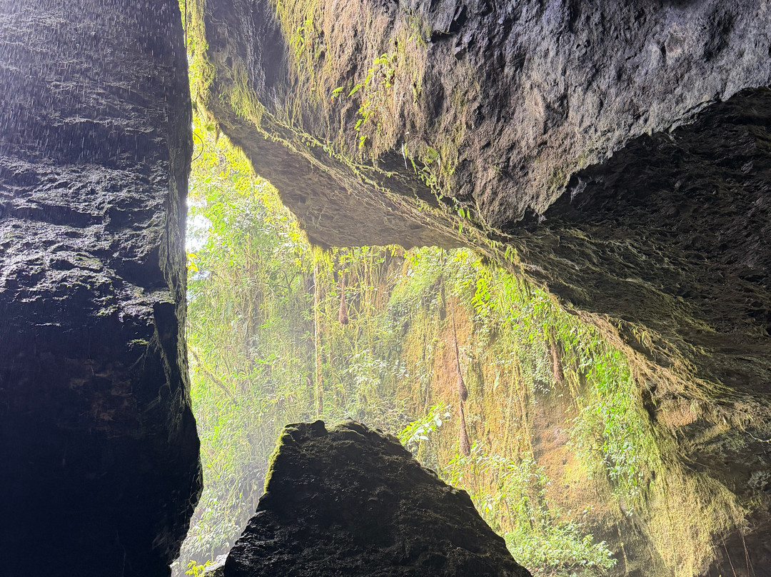 Cueva del Esplendor-Jardin必去景点