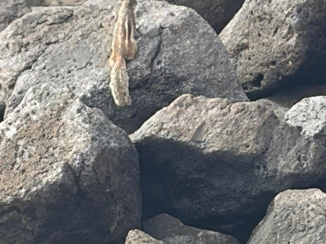 厄尔巴卡洛塔海滩度假酒店&会议中心主图