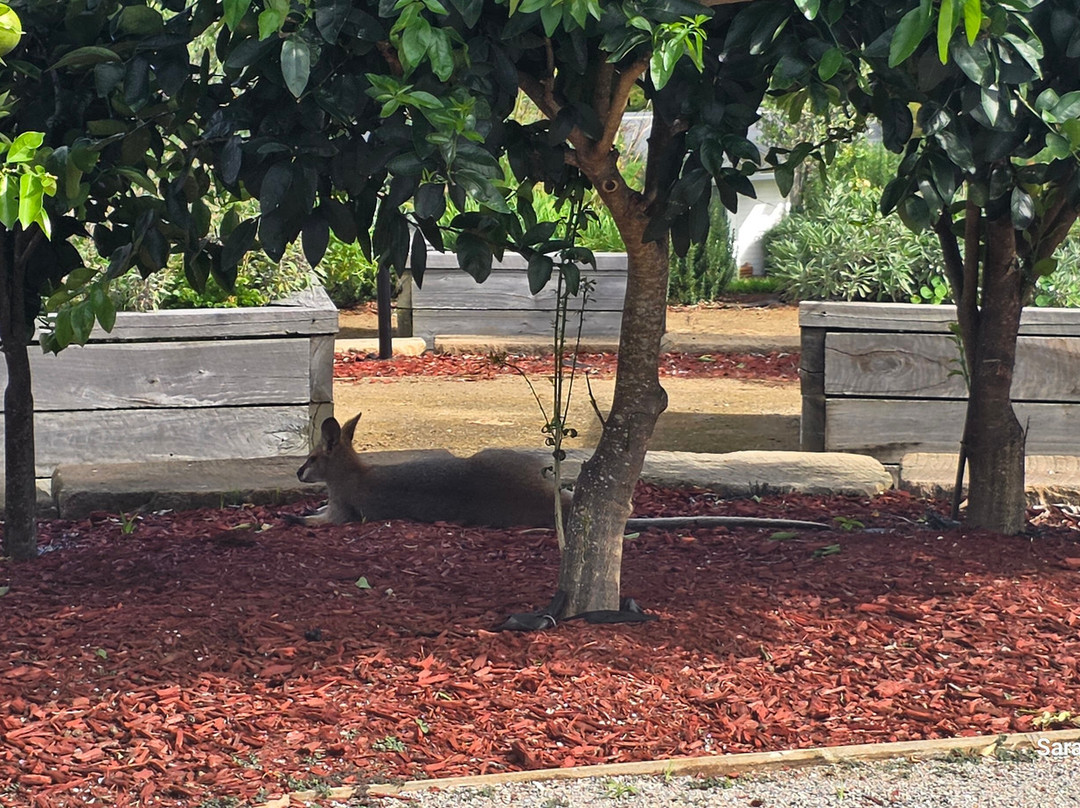 比奇蒙特庄园主图