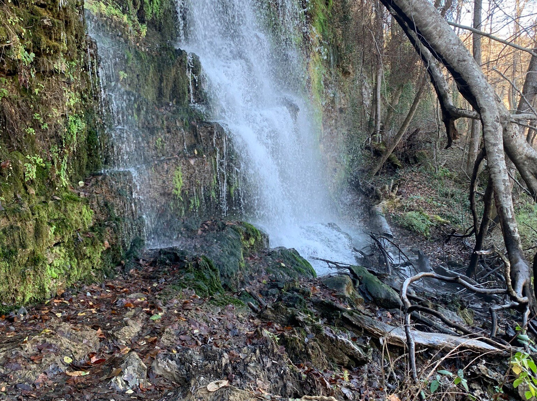 Rock Island State Park-Rock Island必去景点