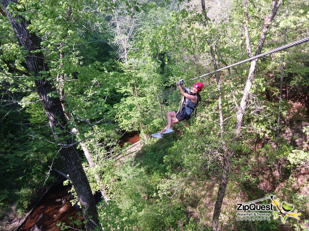 ZipQuest Waterfall & Treetop Adventure-费耶特维尔必去景点
