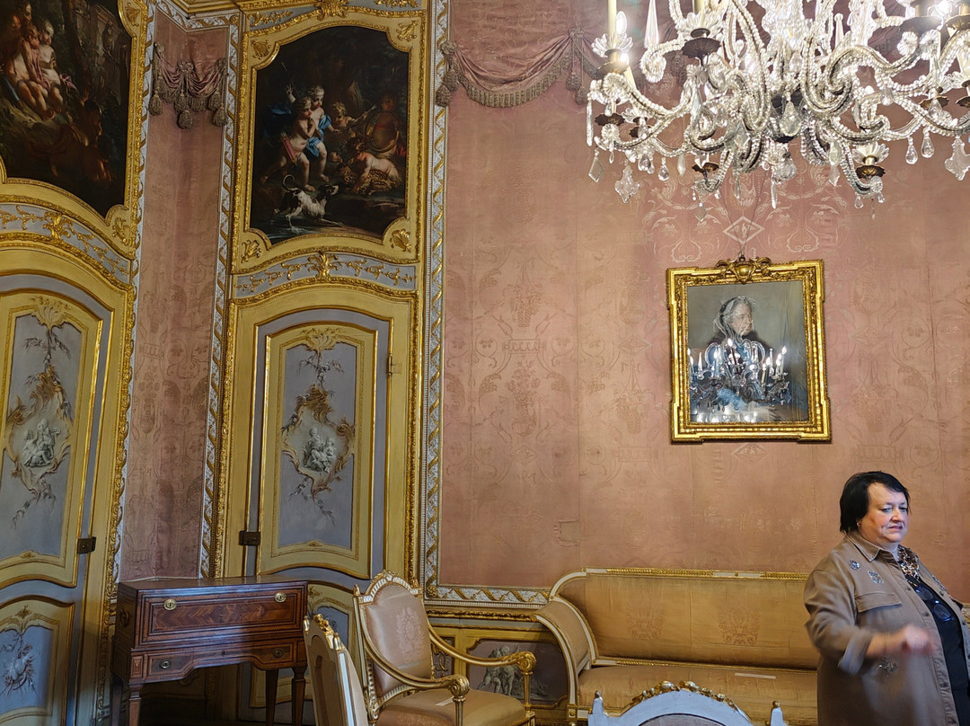 Palazzina di Caccia di Stupinigi-Stupinigi必去景点