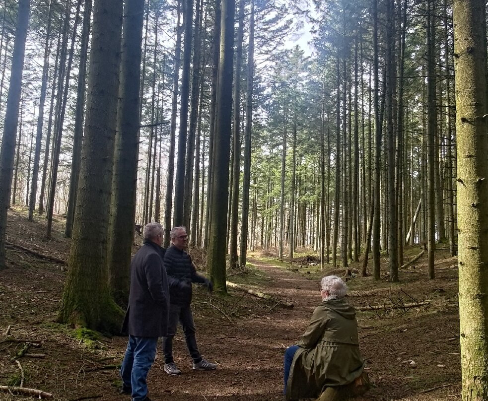 Ydby Hede-Ydby必去景点