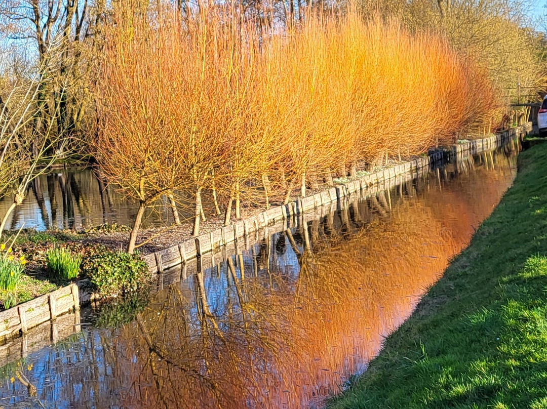 Les Hortillonnages d'Amiens-亚眠必去景点
