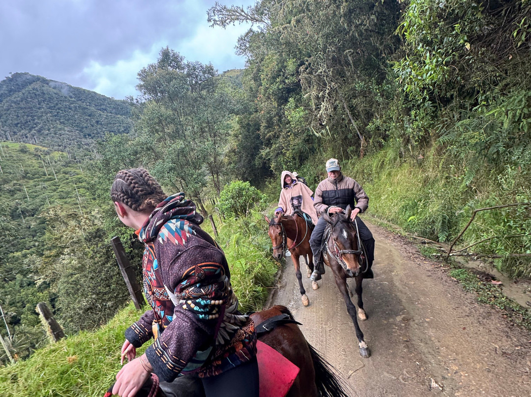 Andes Adventure-萨伦托必去景点