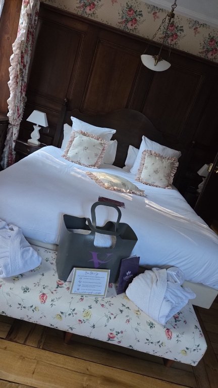 Hôtel & Spa les Violettes-旅行者