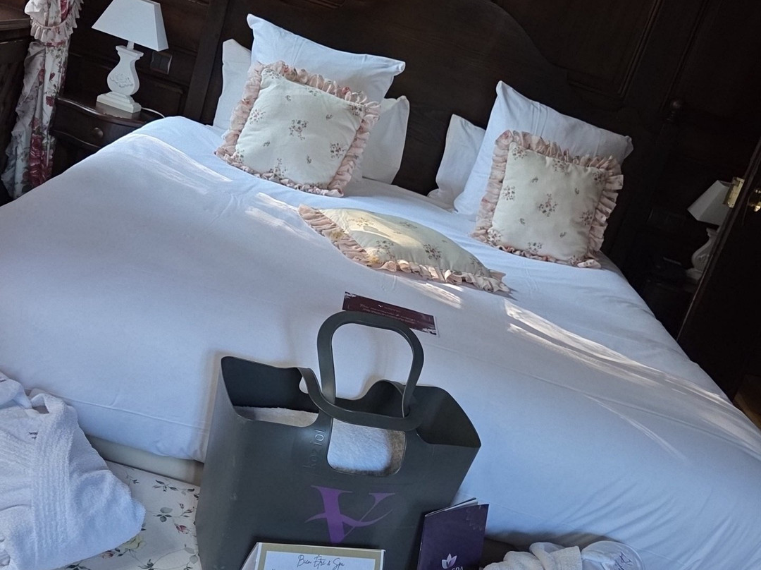 Hôtel & Spa les Violettes主图