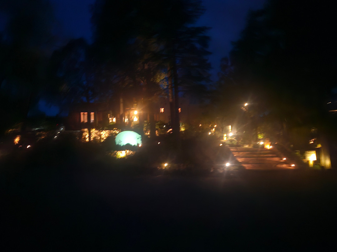 绿松石熊住宿加早餐旅馆主图