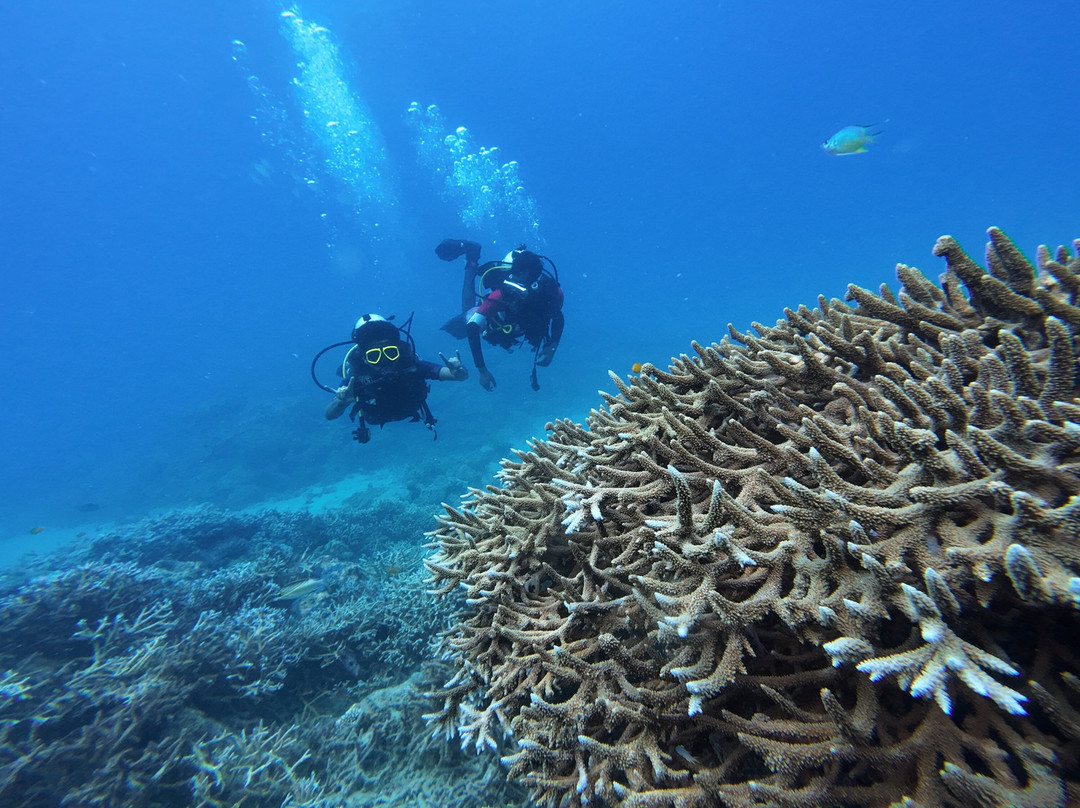 Turquoise Dream-Neil Island必去景点