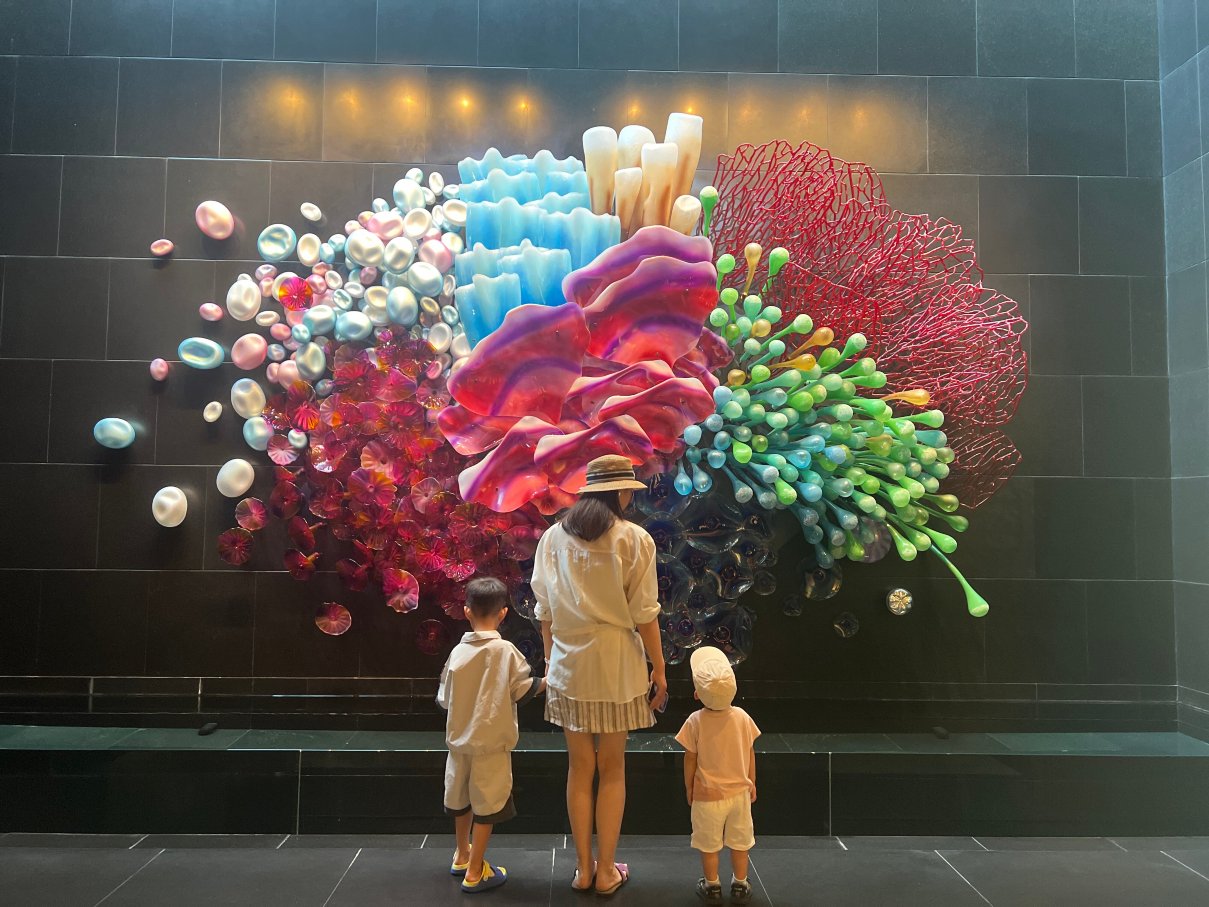 富国岛丽晶酒店-旅行者