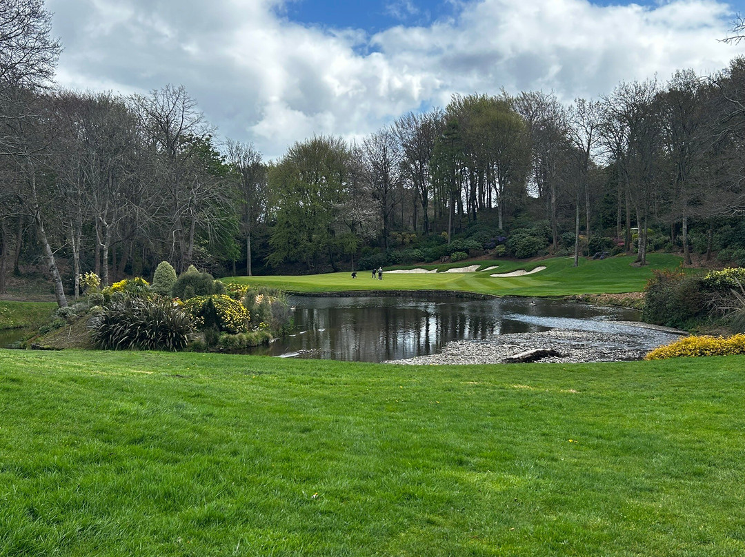 德鲁伊兹格林度假酒店主图