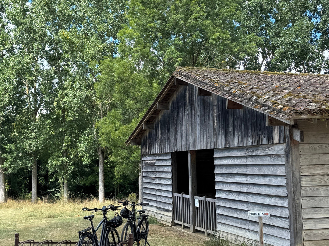 Gascogne Bike Hire and Tours-Montreal-du-Gers必去景点