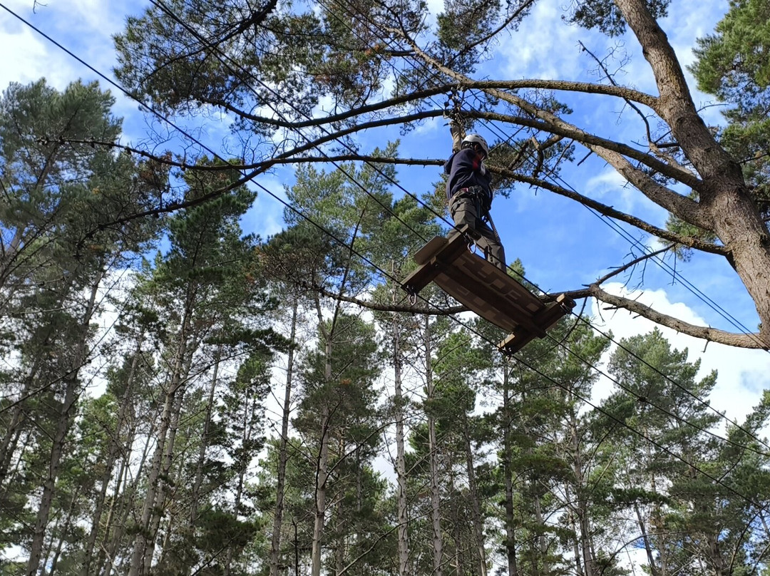 Tree Adventures-伍德山必去景点
