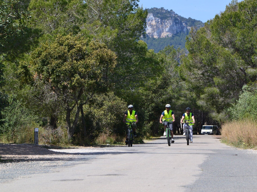 Salou Downhill Bikes-萨洛必去景点