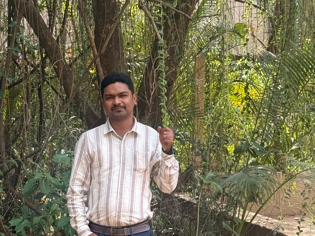 扎斯图彭奇主图
