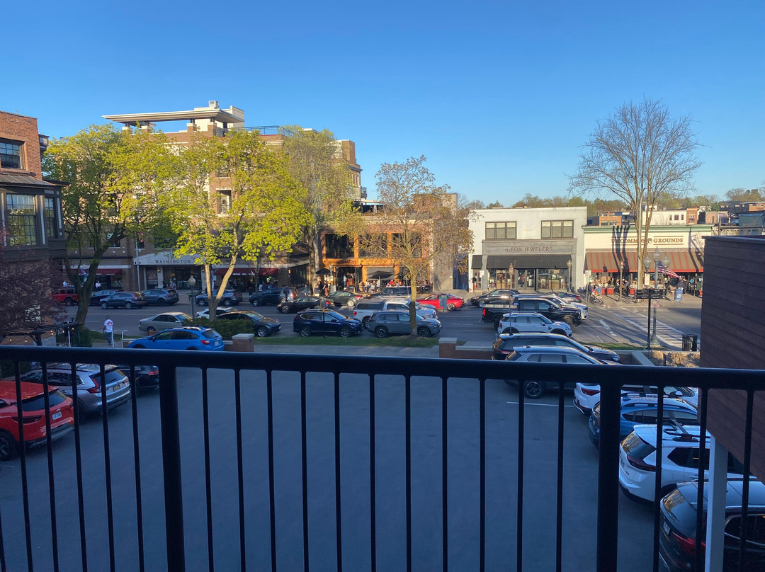 Bluebird Spa 城市汽车旅馆主图