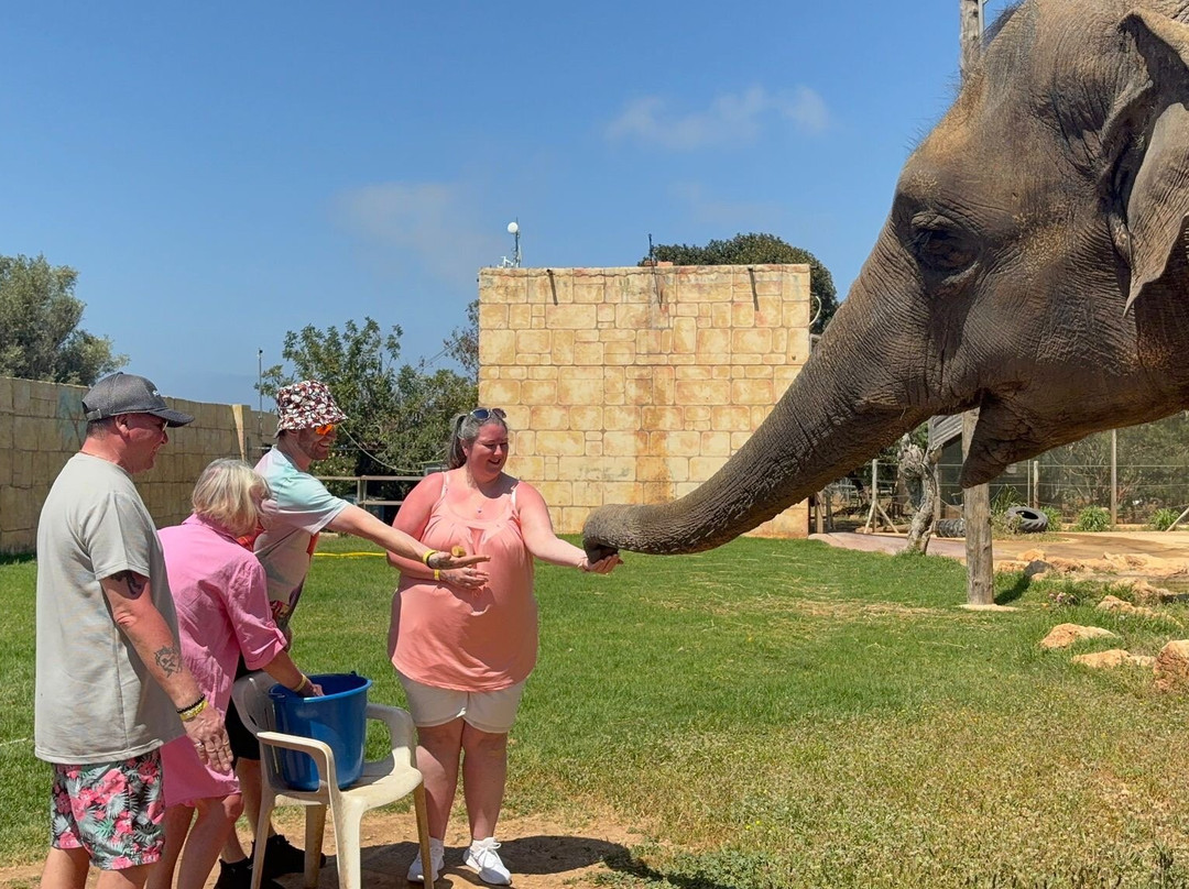Pafos Zoo-帕福斯必去景点