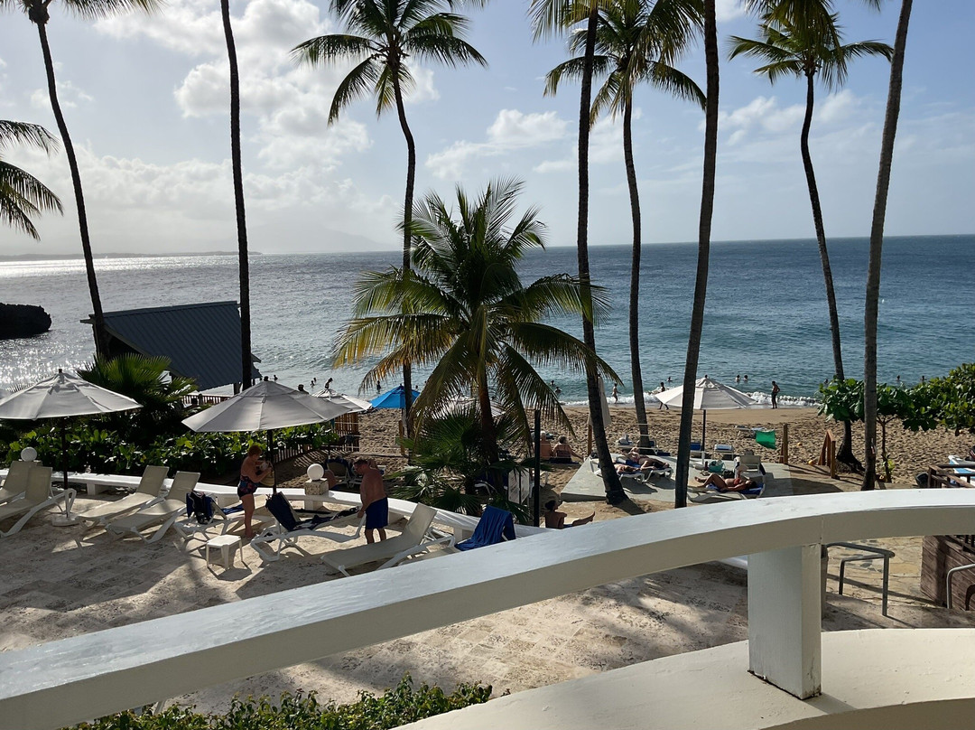 Select Sosua Adults Only, Trademark by Wyndham All Inclusive