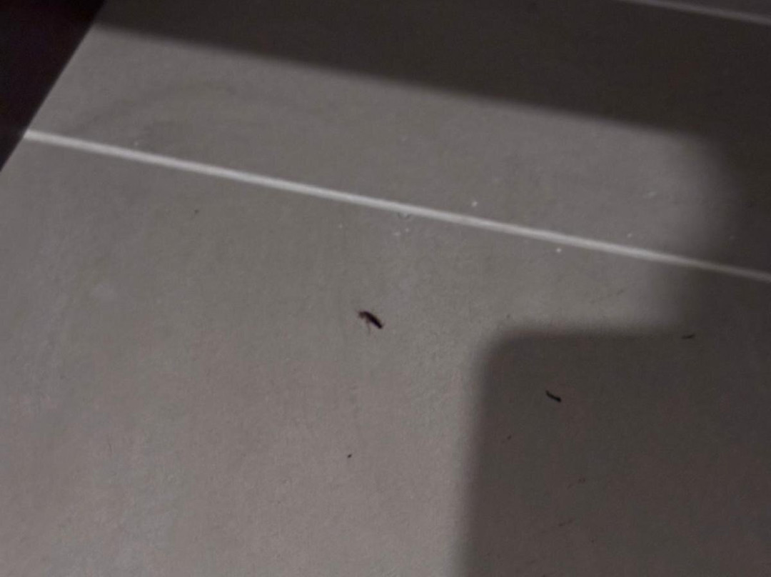 南方棕榈沙滩度假村主图