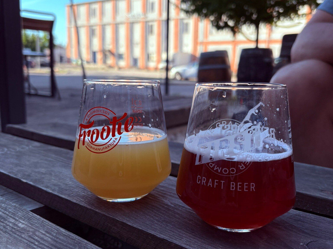 FIRST Craft Beer Brewery & Taproom-布达佩斯必去景点