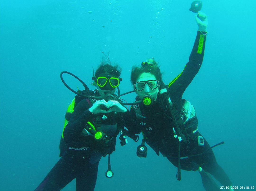 Crystal Diving Centre-贝尔马尔必去景点