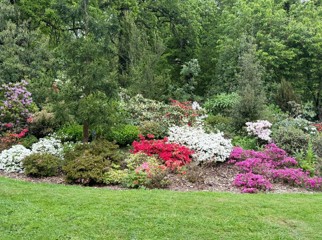 Burrow Farm Gardens-Dalwood必去景点