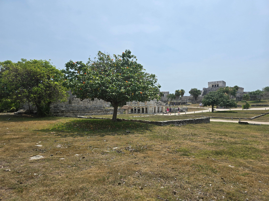 Ekinox Tours Tulum-图伦必去景点
