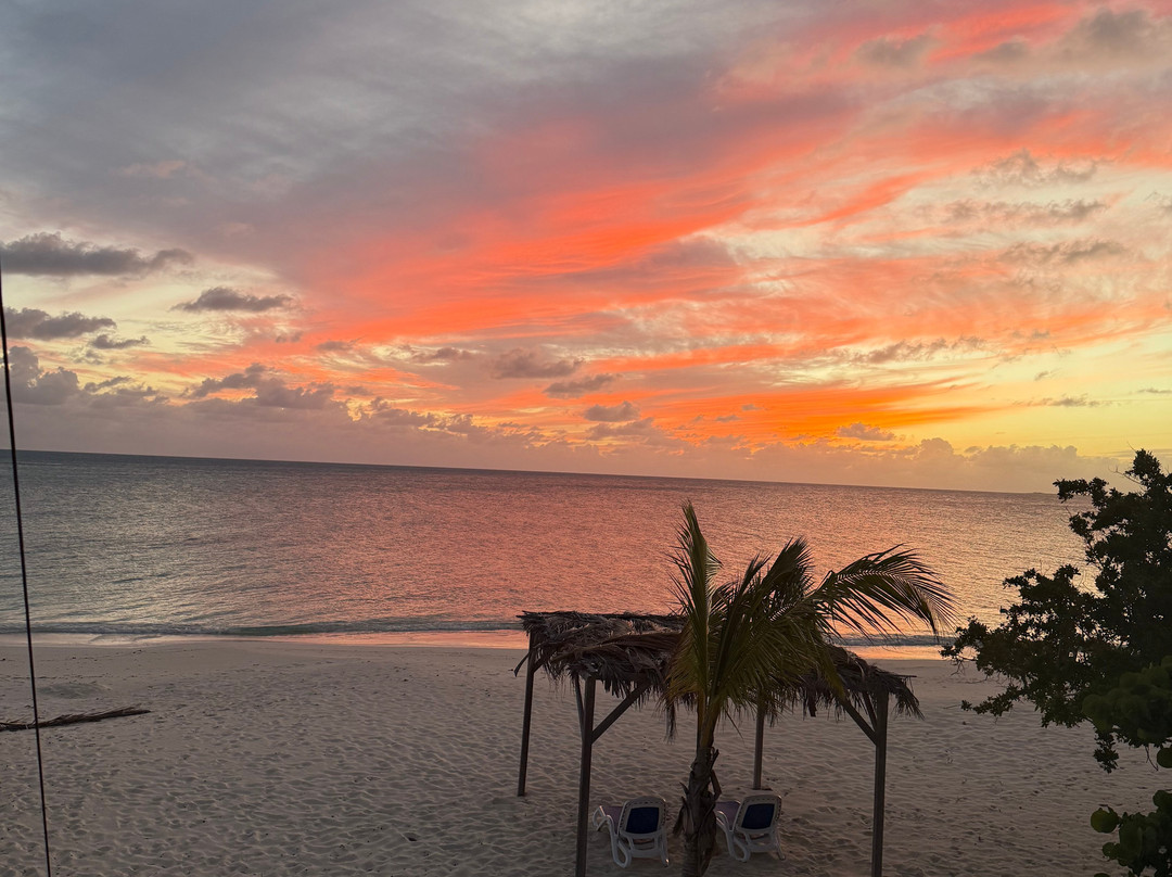 Barbuda Cottages主图