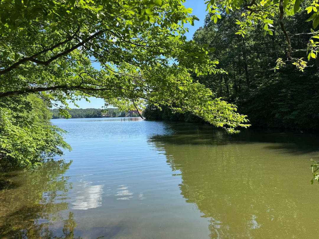 Lake Catherine State Park-温泉城必去景点
