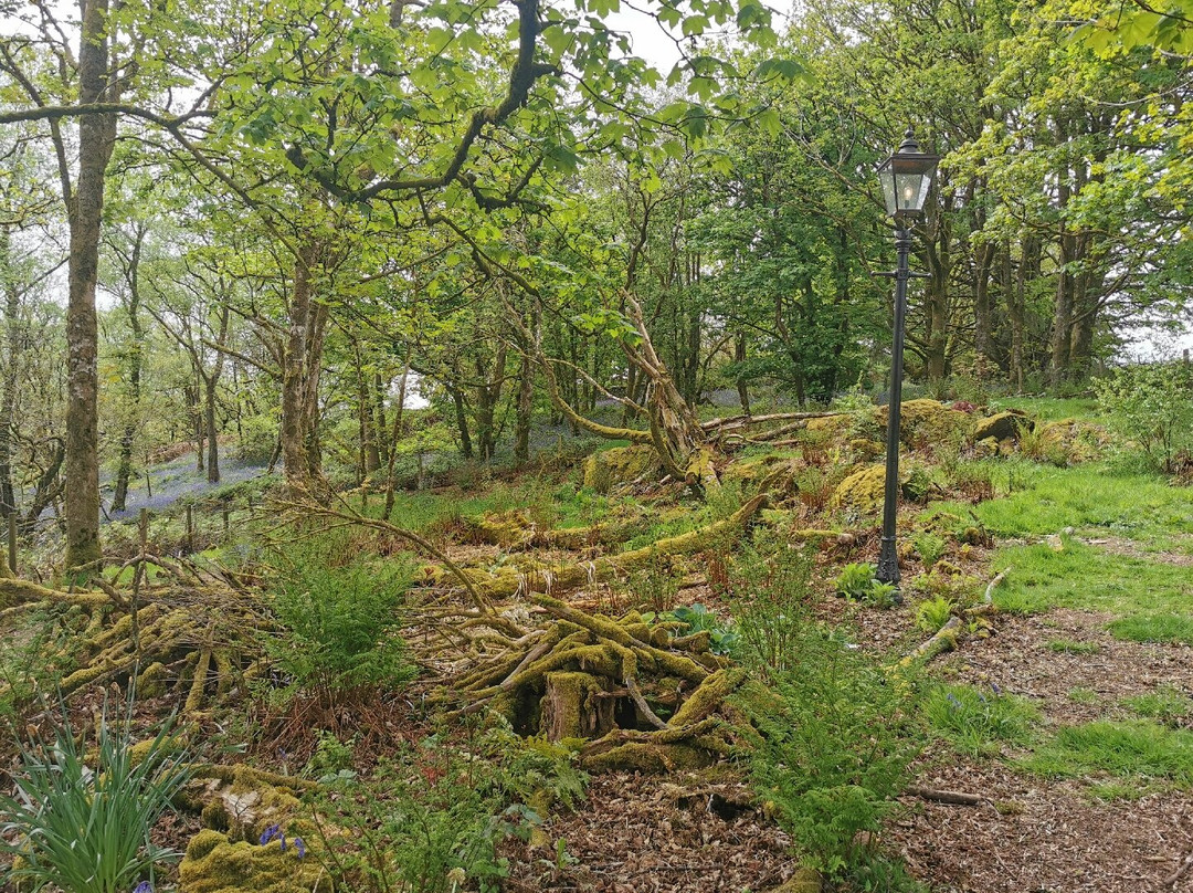 Caerau Gardens-Bala必去景点