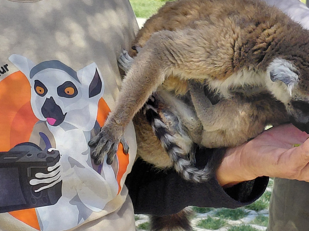 Farma of Rhodes Petting Zoo-罗德斯必去景点