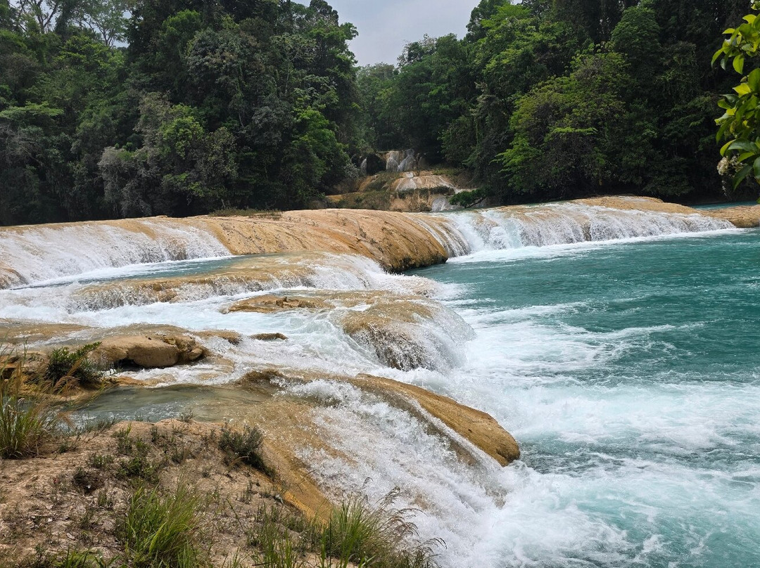 Cascadas de Agua Azul-帕伦克必去景点