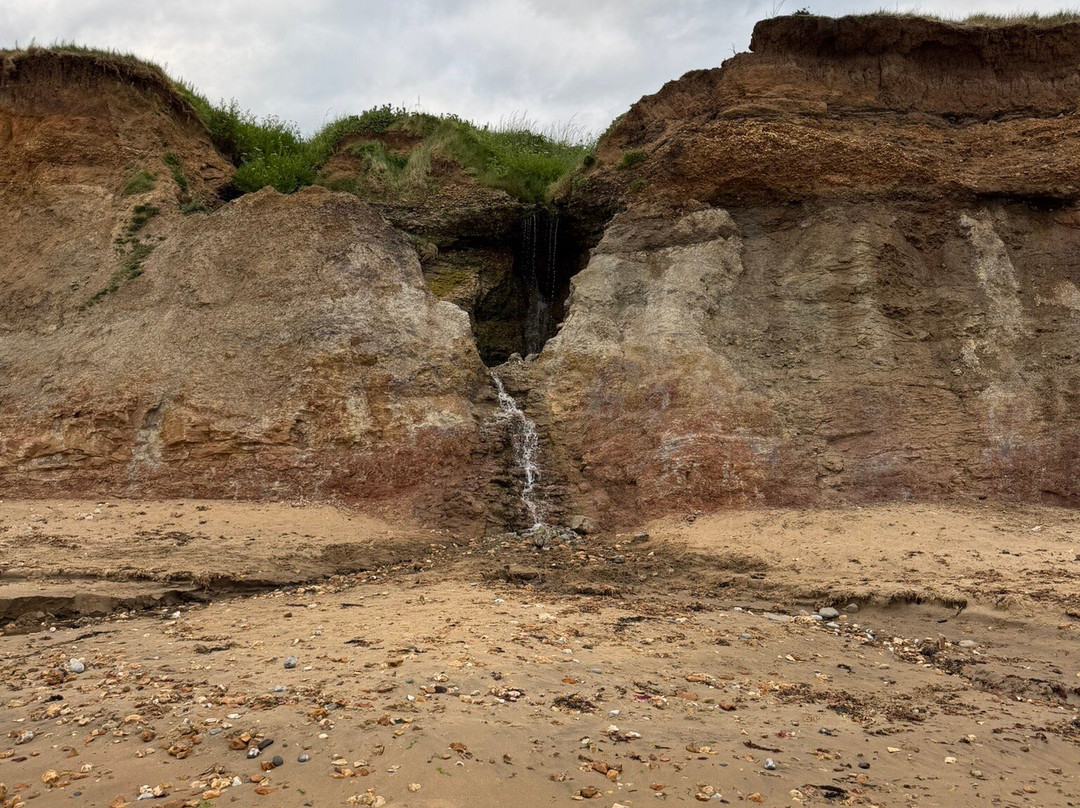 Isle of Wight Fossil Hunts - Island Gems-Godshill必去景点