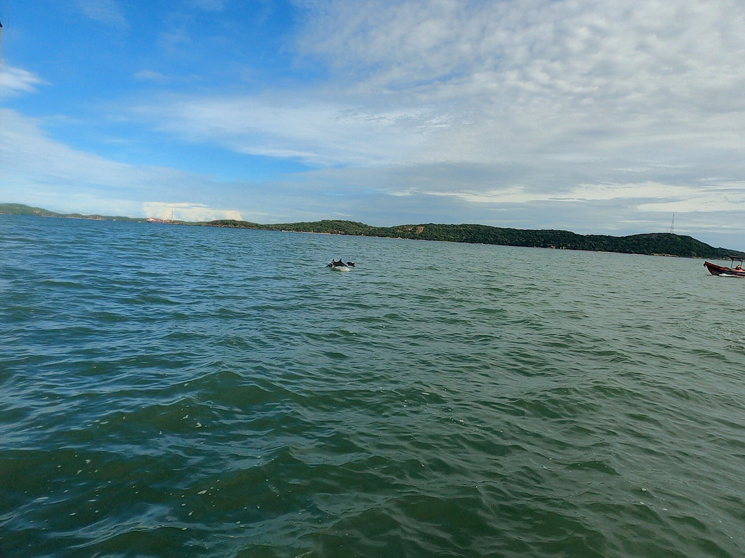 Trinco Water Sport Tours-Trincomalee必去景点