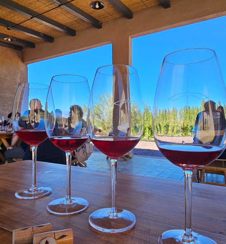 Bodega Los Dragones-Barreal必去景点