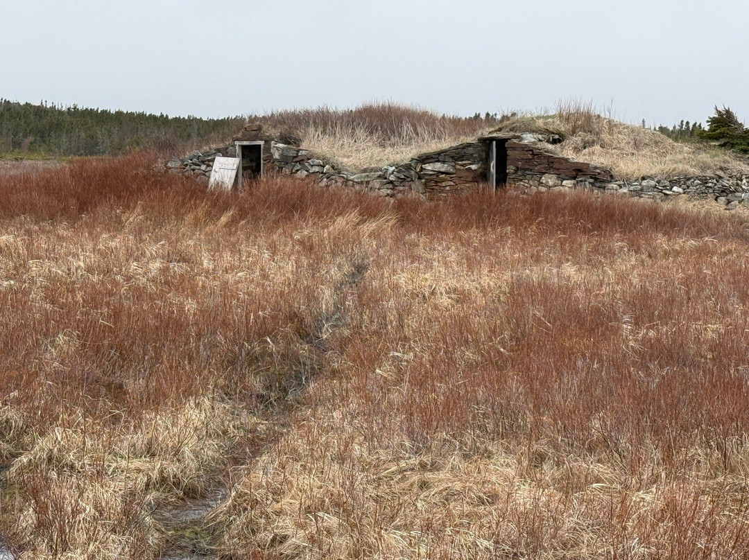 Elliston's Root Cellars-Elliston必去景点