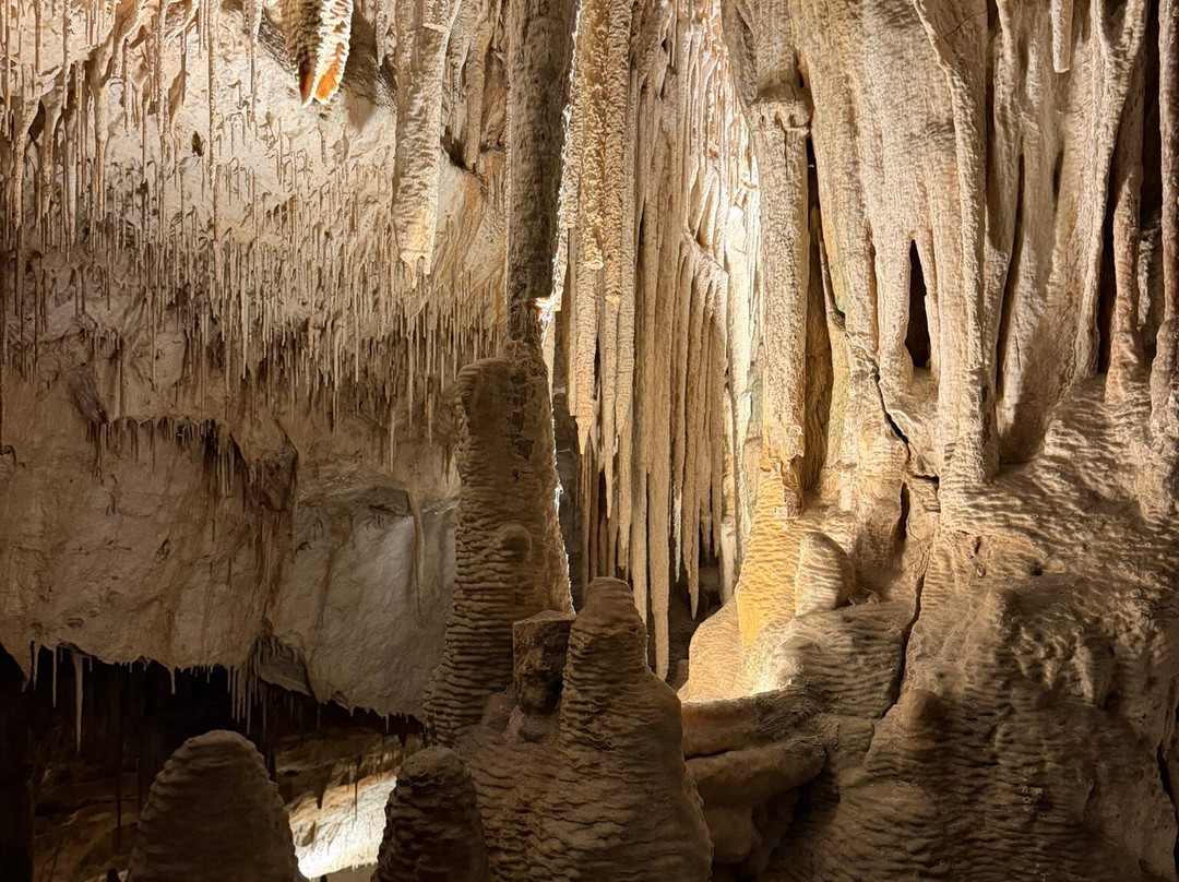 Cuevas del Drach-克里斯托港必去景点