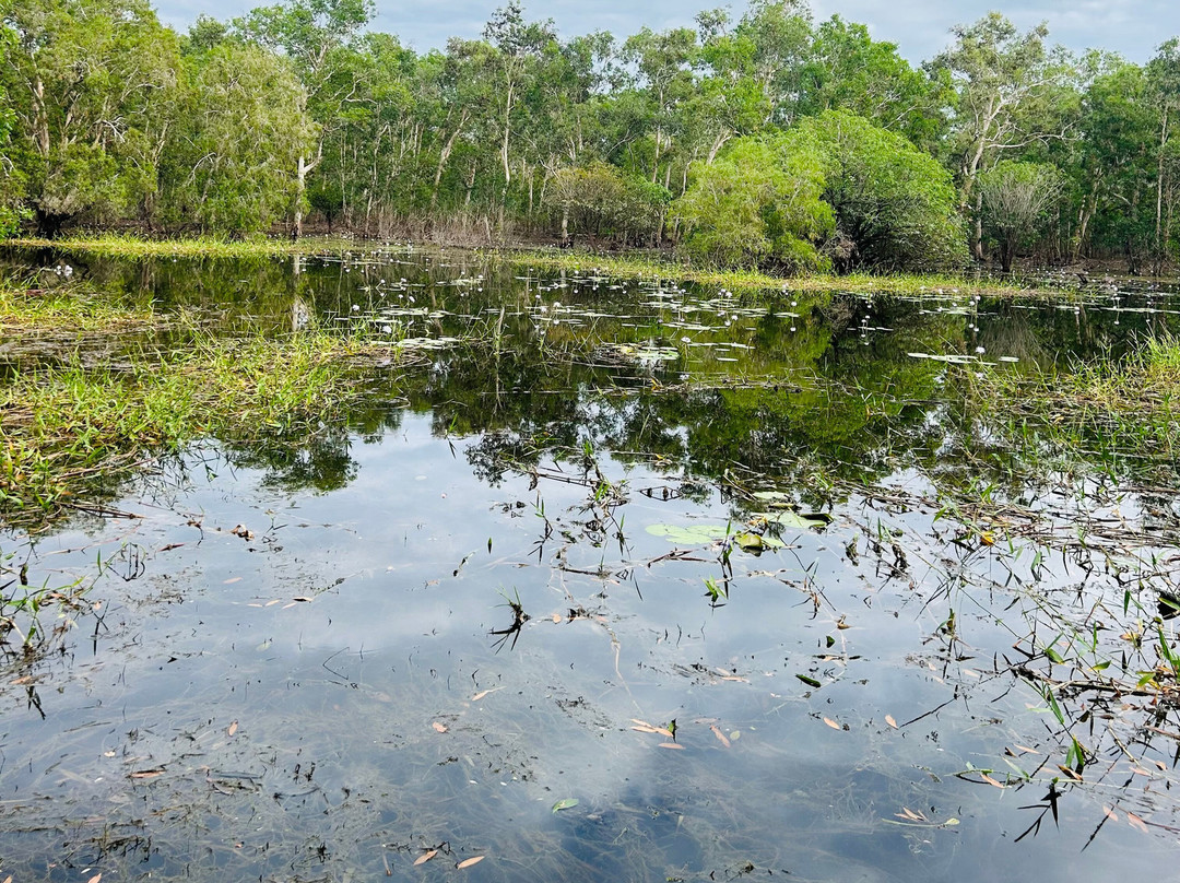 Northern Territory Airboats-Dundee Beach必去景点