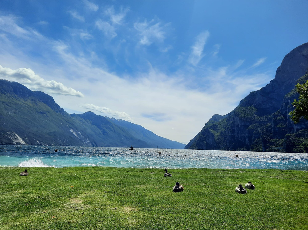Sabbioni Beach-里瓦德尔加尔达必去景点
