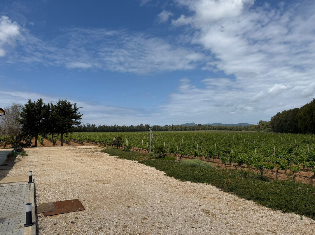 cantina rigàtteri-Santa Maria La Palma必去景点