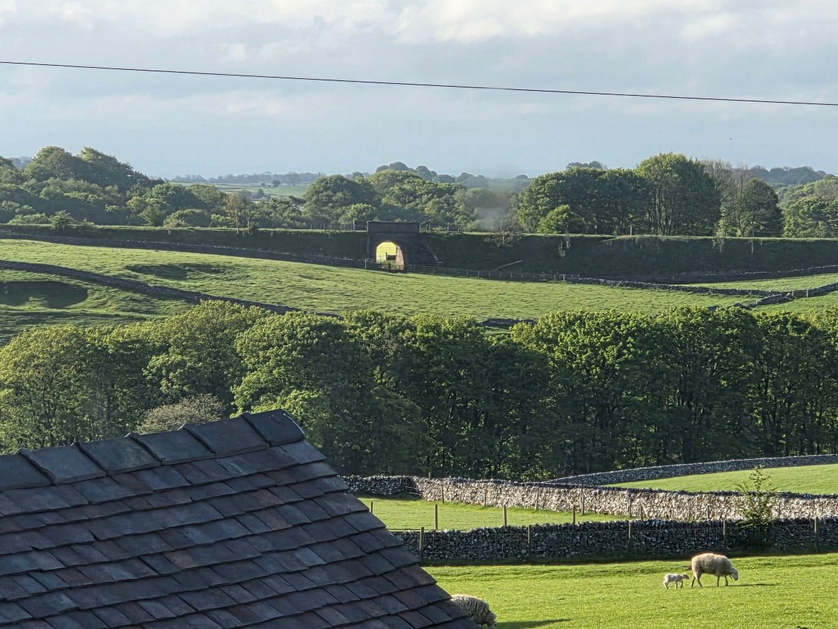 Dove Top Farm-旅行者