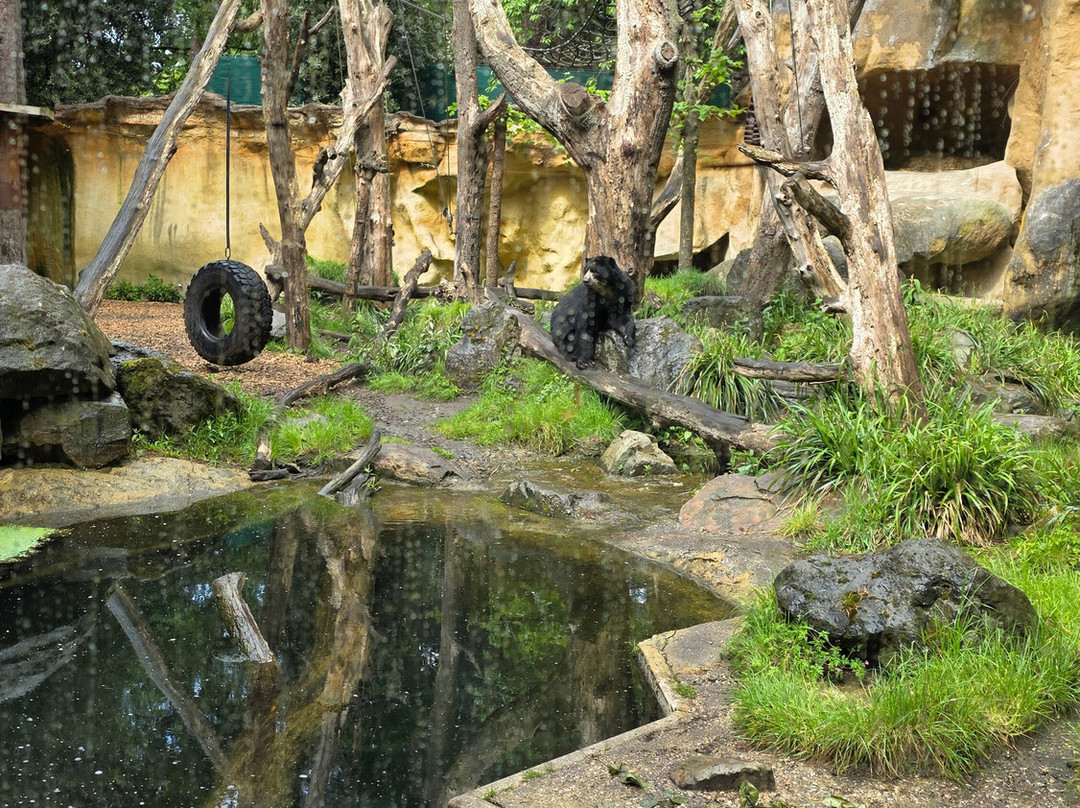 DierenPark Amersfoort-阿默斯福特必去景点