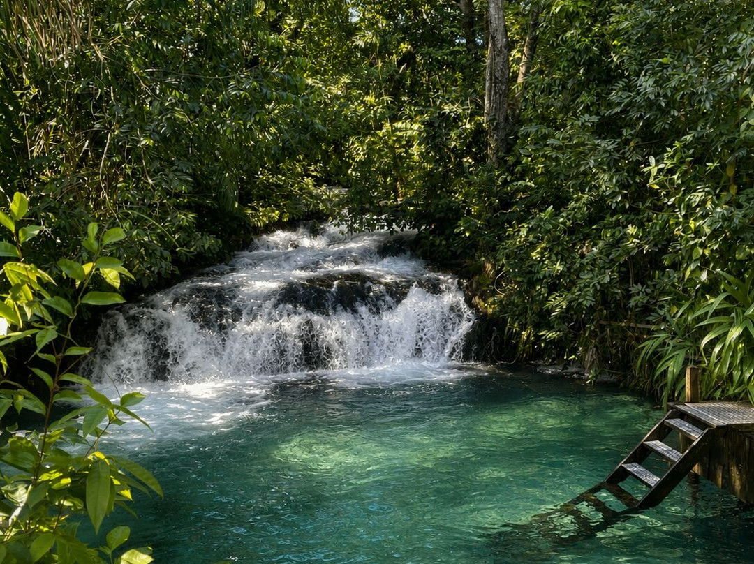Cerrado Dourado Expedições-Jalapao State Park必去景点
