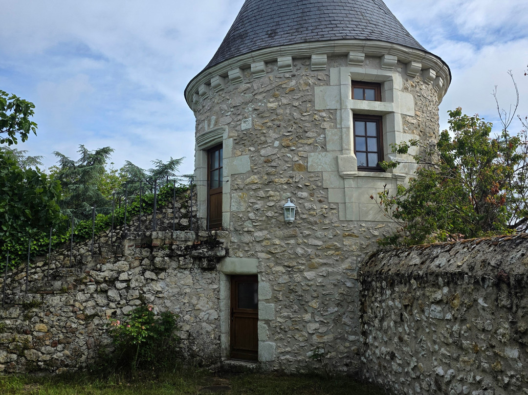Le Vieux château de Hommes主图