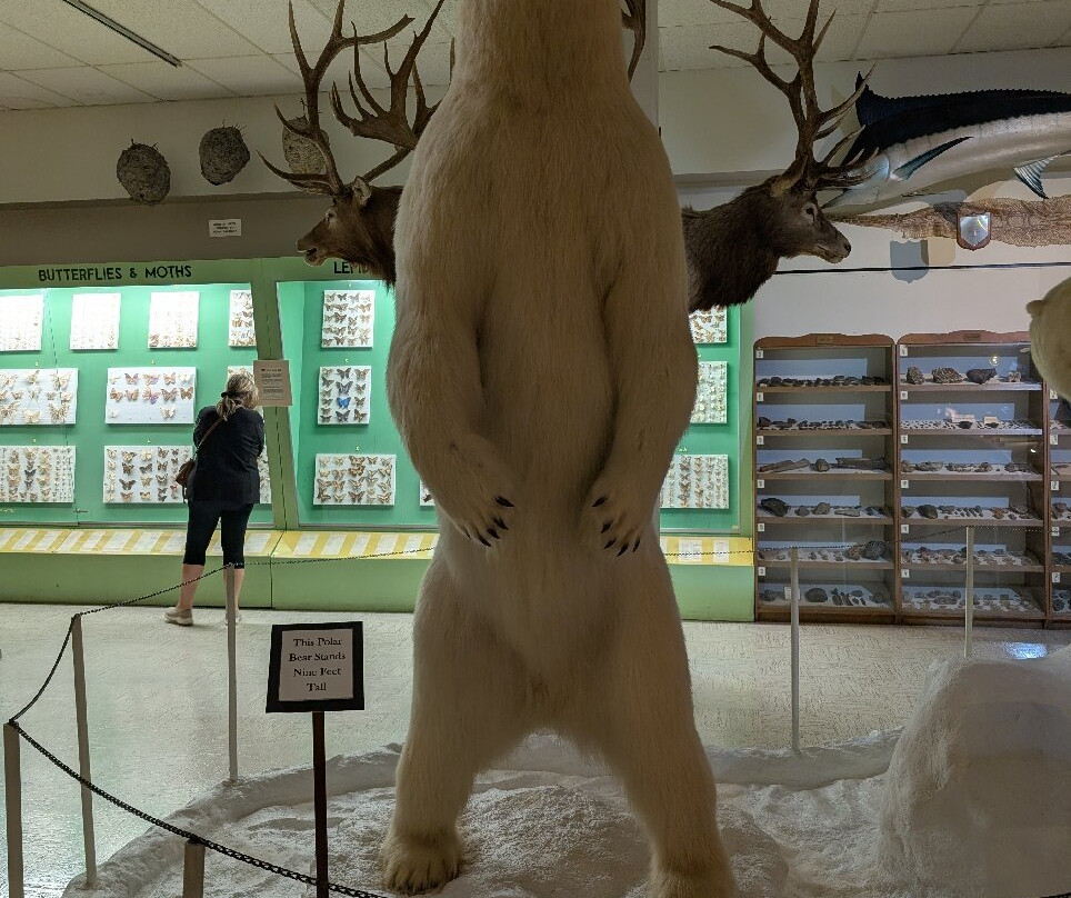 Ralph Foster Museum-Point Lookout必去景点